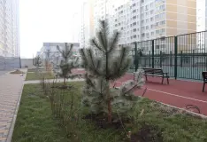 Фотография ЖК